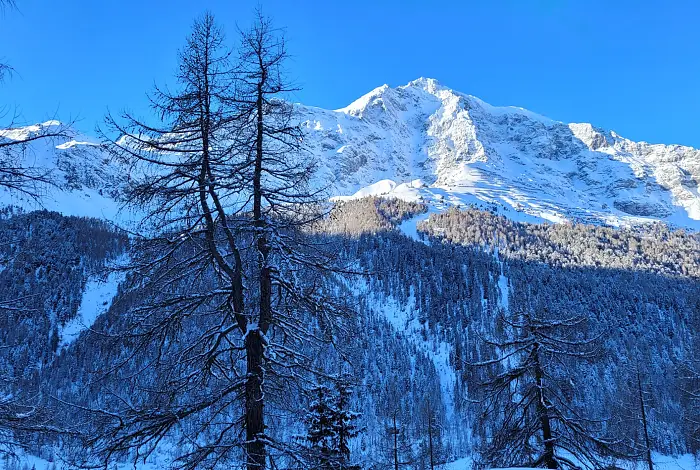 Blick auf die verschneiten Wälder und Berge von Sulden am Ortler im Winter