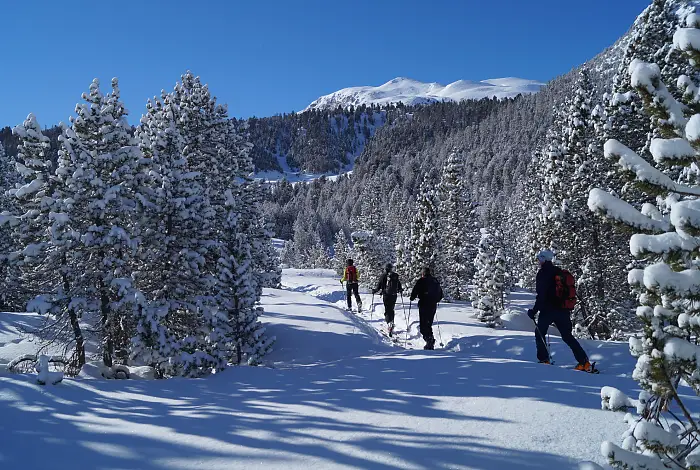 Langläufer auf einer Loipe in den Bergen bei Neuschnee