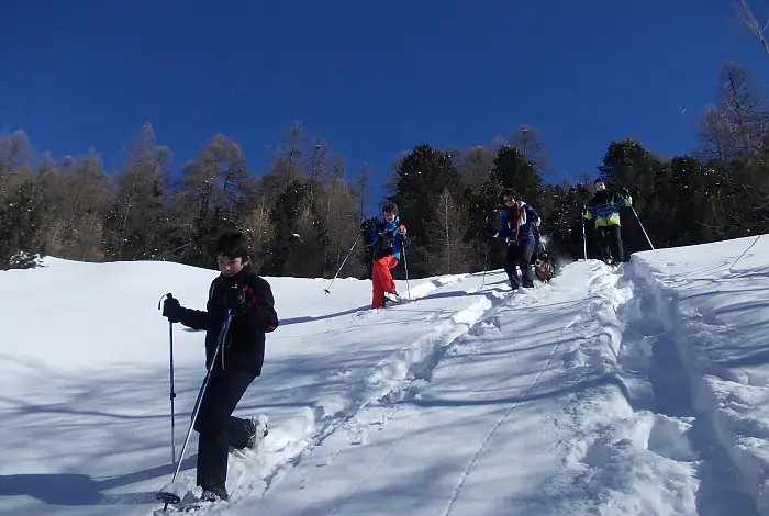 Familie mit Kind und Hund beim Schneeschuhwandern im Wald